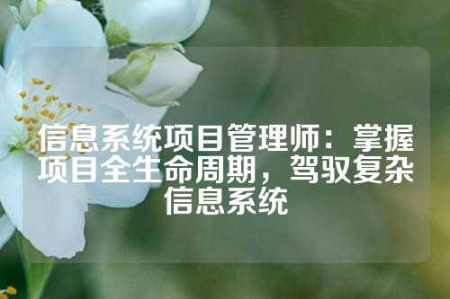 信息系统项目管理师：掌握项目全生命周期，驾驭复杂信息系统