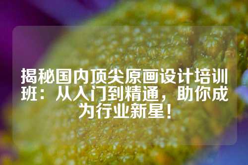 揭秘国内顶尖原画设计培训班：从入门到精通，助你成为行业新星！