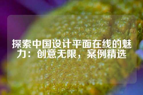 探索中国设计平面在线的魅力：创意无限，案例精选