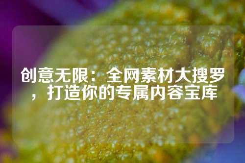 创意无限：全网素材大搜罗，打造你的专属内容宝库