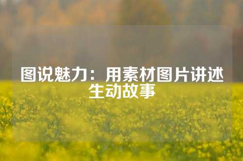 图说魅力：用素材图片讲述生动故事