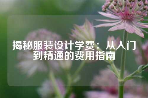 揭秘服装设计学费：从入门到精通的费用指南