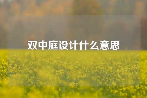 双中庭设计什么意思