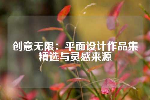 创意无限：平面设计作品集精选与灵感来源