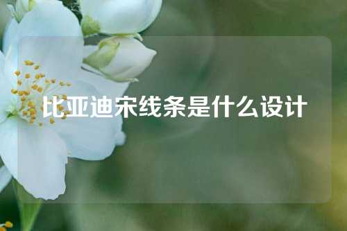 比亚迪宋线条是什么设计