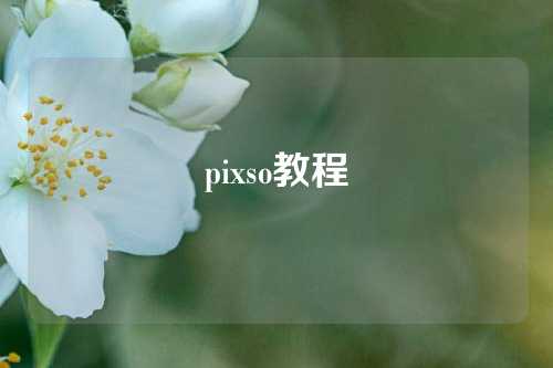 pixso教程