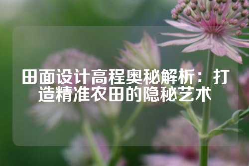 田面设计高程奥秘解析：打造精准农田的隐秘艺术