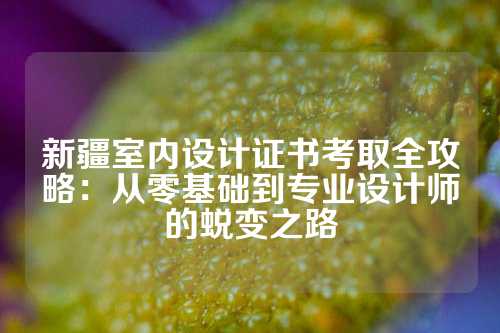 新疆室内设计证书考取全攻略：从零基础到专业设计师的蜕变之路