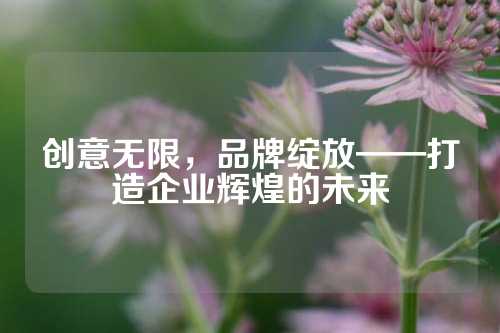 创意无限，品牌绽放——打造企业辉煌的未来