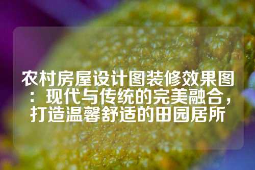 农村房屋设计图装修效果图：现代与传统的完美融合，打造温馨舒适的田园居所