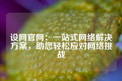 设网官网：一站式网络解决方案，助您轻松应对网络挑战