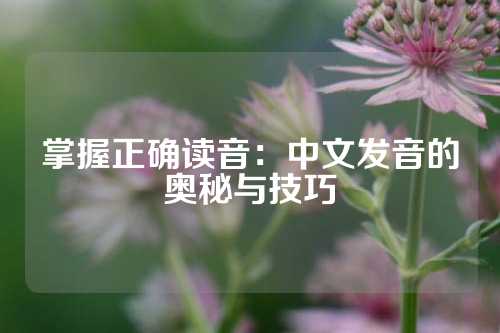 掌握正确读音：中文发音的奥秘与技巧