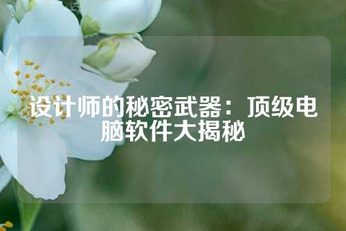 设计师的秘密武器：顶级电脑软件大揭秘