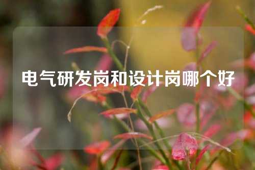 电气研发岗和设计岗哪个好