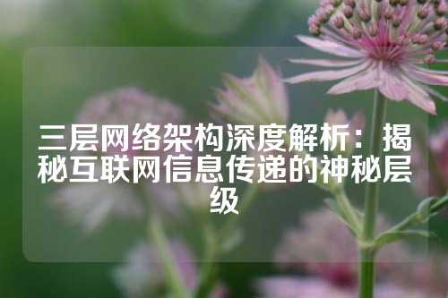 三层网络架构深度解析：揭秘互联网信息传递的神秘层级