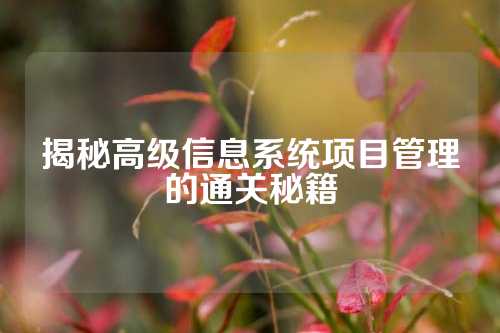 揭秘高级信息系统项目管理的通关秘籍