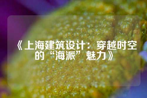 《上海建筑设计：穿越时空的“海派”魅力》