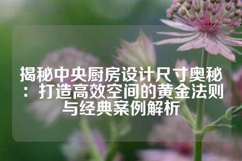 揭秘中央厨房设计尺寸奥秘：打造高效空间的黄金法则与经典案例解析