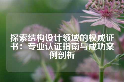 探索结构设计领域的权威证书：专业认证指南与成功案例剖析