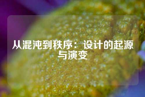 从混沌到秩序：设计的起源与演变