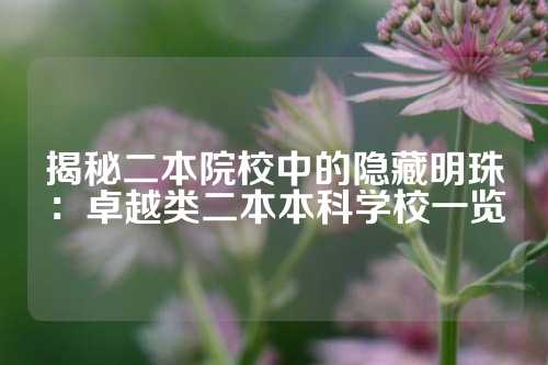 揭秘二本院校中的隐藏明珠:卓越类二本本科学校一览
