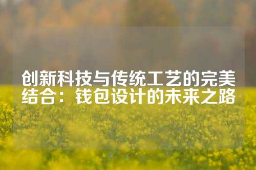 创新科技与传统工艺的完美结合：钱包设计的未来之路