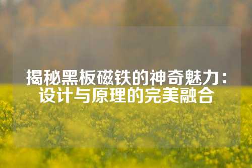 揭秘黑板磁铁的神奇魅力：设计与原理的完美融合
