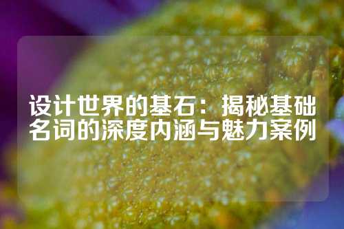设计世界的基石：揭秘基础名词的深度内涵与魅力案例