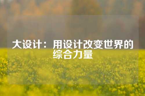 大设计：用设计改变世界的综合力量