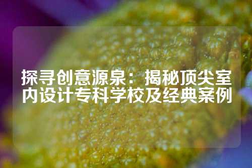 探寻创意源泉:揭秘顶尖室内设计专科学校及经典案例