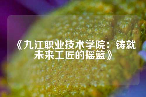 《九江职业技术学院：铸就未来工匠的摇篮》
