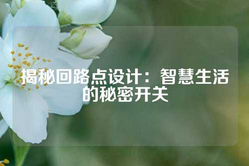 揭秘回路点设计：智慧生活的秘密开关