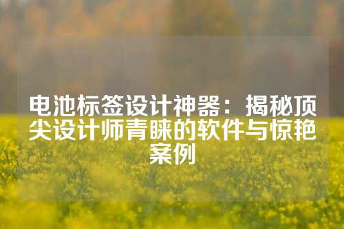 电池标签设计神器:揭秘顶尖设计师青睐的软件与惊艳案例