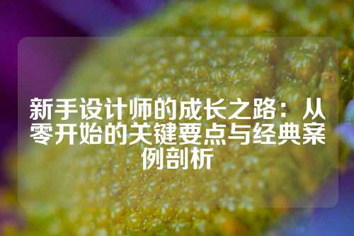 新手设计师的成长之路：从零开始的关键要点与经典案例剖析