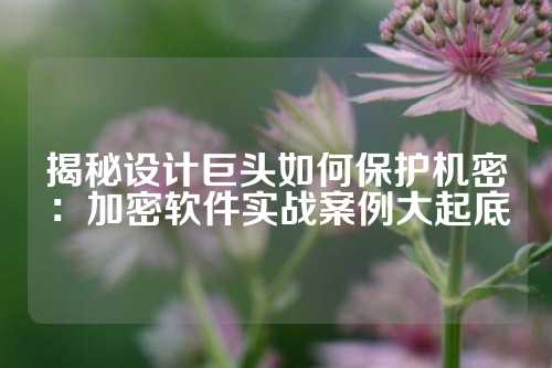 揭秘设计巨头如何保护机密:加密软件实战案例大起底