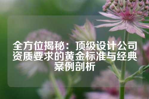 全方位揭秘：顶级设计公司资质要求的黄金标准与经典案例剖析