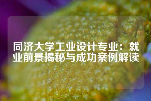 同济大学工业设计专业：就业前景揭秘与成功案例解读