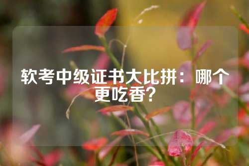 软考中级证书大比拼：哪个更吃香？