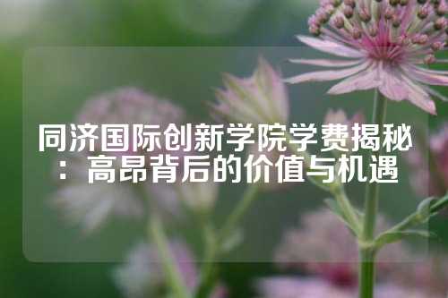 同济国际创新学院学费揭秘：高昂背后的价值与机遇