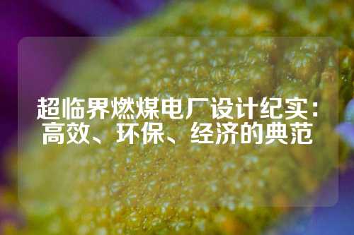 超临界燃煤电厂设计纪实：高效、环保、经济的典范