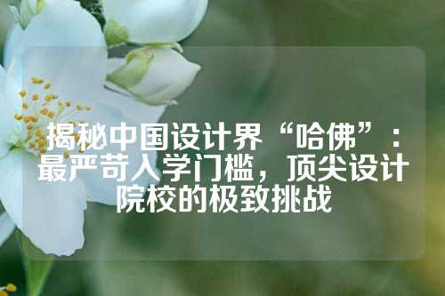 揭秘中国设计界“哈佛”：最严苛入学门槛，顶尖设计院校的极致挑战