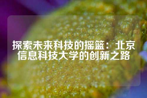 探索未来科技的摇篮：北京信息科技大学的创新之路