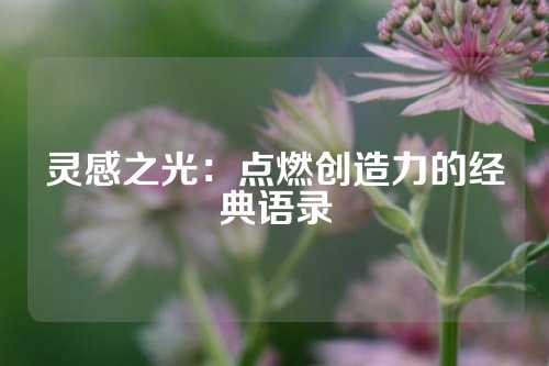 灵感之光：点燃创造力的经典语录
