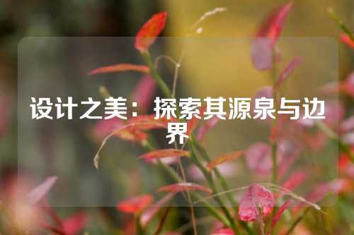 设计之美：探索其源泉与边界