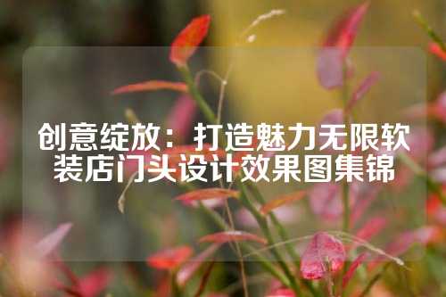 创意绽放：打造魅力无限软装店门头设计效果图集锦