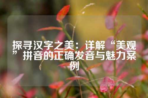 探寻汉字之美：详解“美观”拼音的正确发音与魅力案例