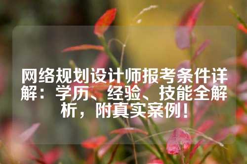 网络规划设计师报考条件详解：学历、经验、技能全解析，附真实案例！