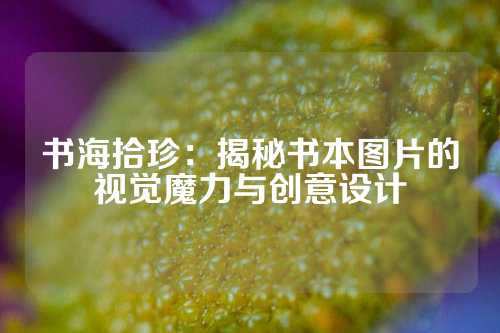 书海拾珍：揭秘书本图片的视觉魔力与创意设计