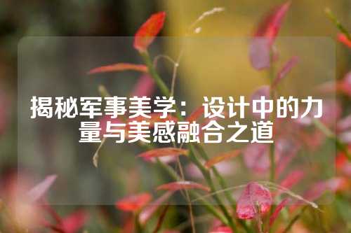 揭秘军事美学：设计中的力量与美感融合之道
