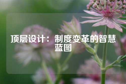 顶层设计：制度变革的智慧蓝图